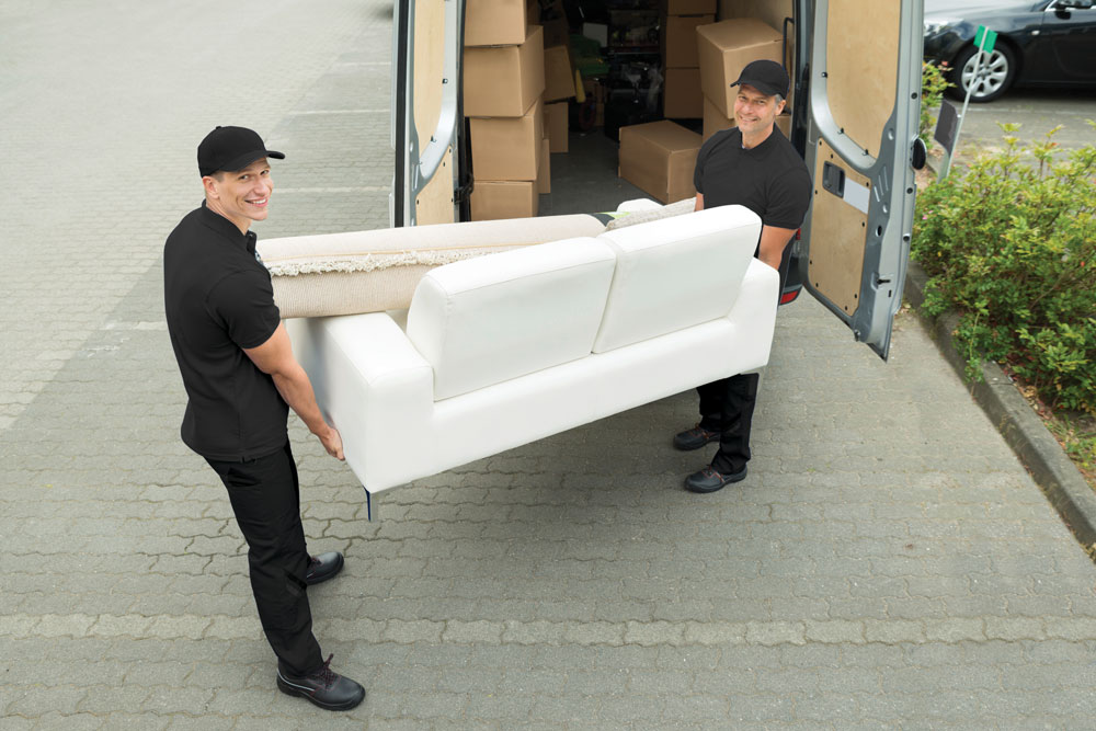 red carpet delivery service mattress firm